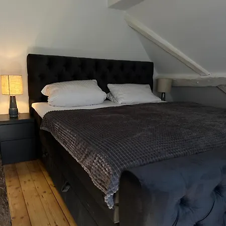 Historisches Eckermannhaus - Daire Weimar (Thuringia)