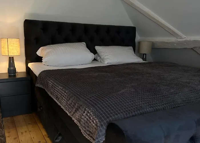 Historisches Eckermannhaus - Appartamento Weimar (Thuringia)