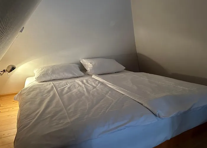 Apartamento Historisches Eckermannhaus - Weimar (Thuringia)