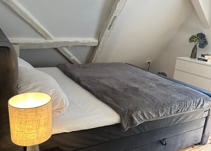 Apartamento Historisches Eckermannhaus - Weimar (Thuringia)